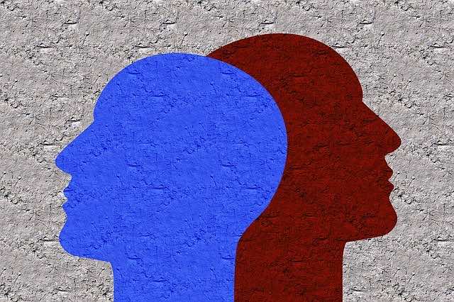 Psychologue ou psychothérapeute ?